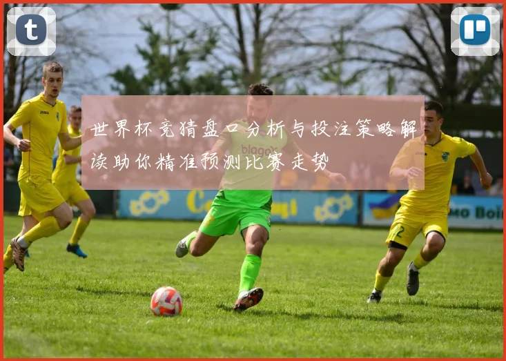 世界杯竞猜盘口分析与投注策略解读助你精准预测比赛走势