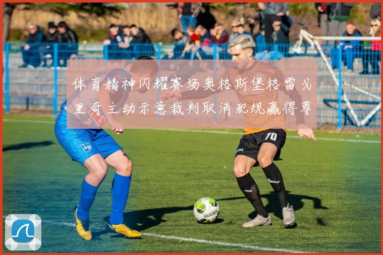 体育精神闪耀赛场奥格斯堡格雷戈里奇主动示意裁判取消犯规赢得尊重